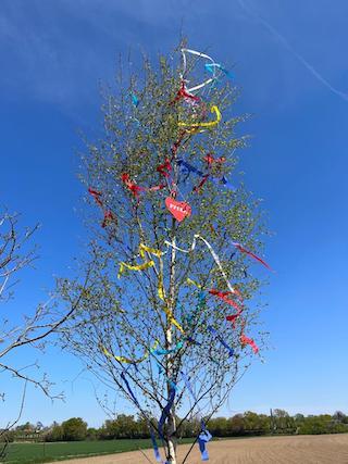 Maibaum